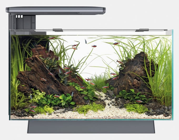 SuperFish Aquarium - Quadro 40 pro - Verlichting - Filter - Zwart - 28L