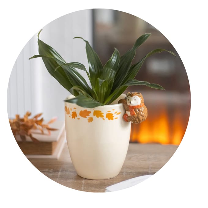 Something Different - Autumn Plant Pot with Hedgehog Plantenpot - Multicolours