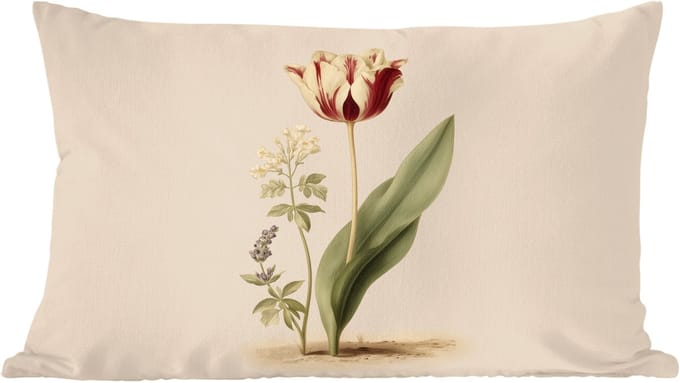 Sierkussens - Kussentjes Woonkamer - 60x40 cm - Tulp - Minimalistisch - Beige
