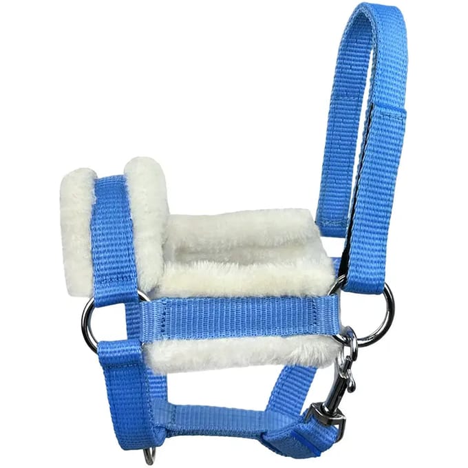 Halster voor paarden York Madlen