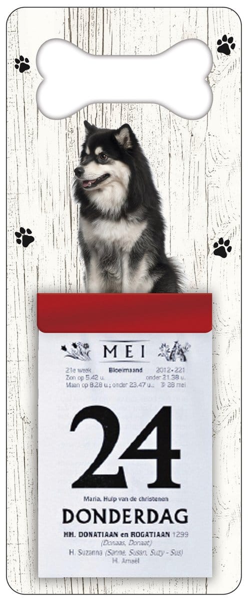 Scheurkalender 2027 Hond: Finse Lappenhond
