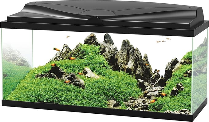 Ciano Aquarium - LED Bio Zwart - 74 liter - 80x30x41,5 cm
