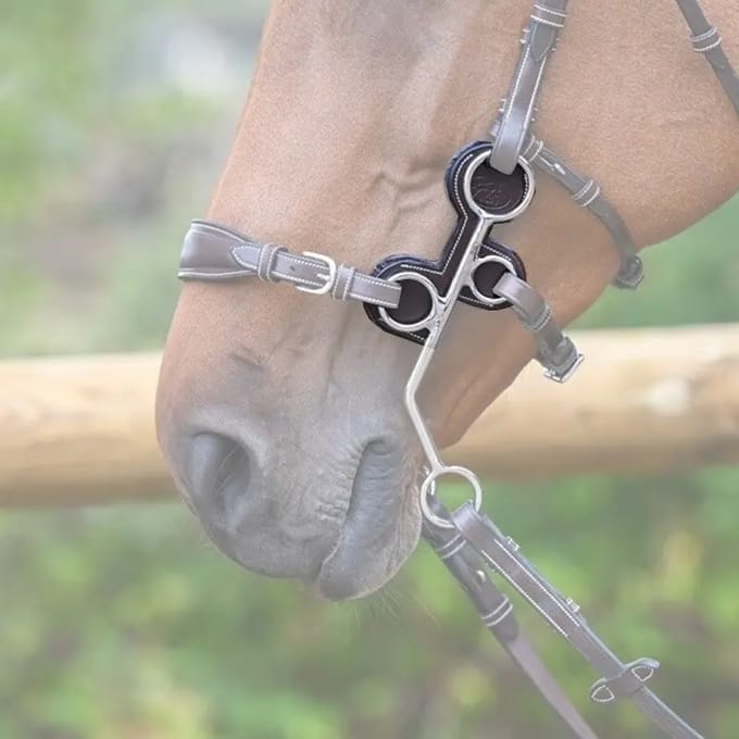 Hackamore Takken van Leer Jump'In