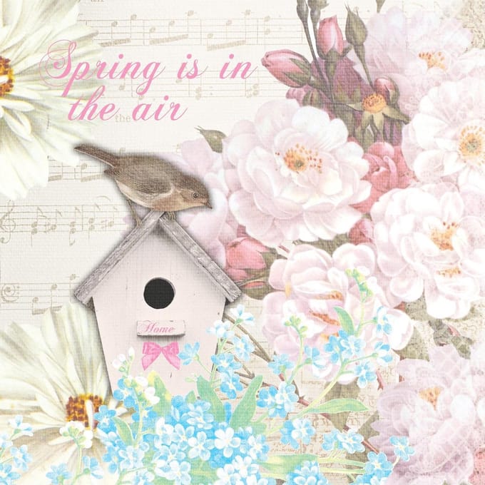 P+D Lunch servetten - Bird house