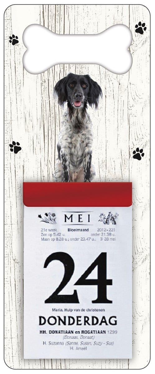 Scheurkalender 2027 Hond: Grote Münsterlander