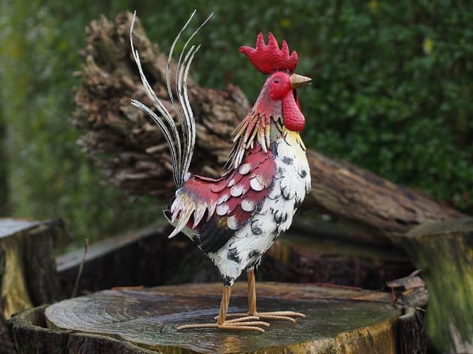 Tuinbeeld - Haan - 52 cm hoog
