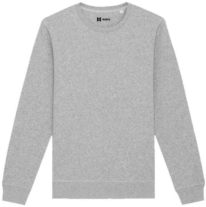 Radix - Trui - Heren - Kleur Grijs - Maat M