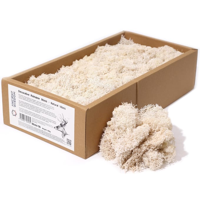 Rendiermos - Natural Vibes - 635g Box