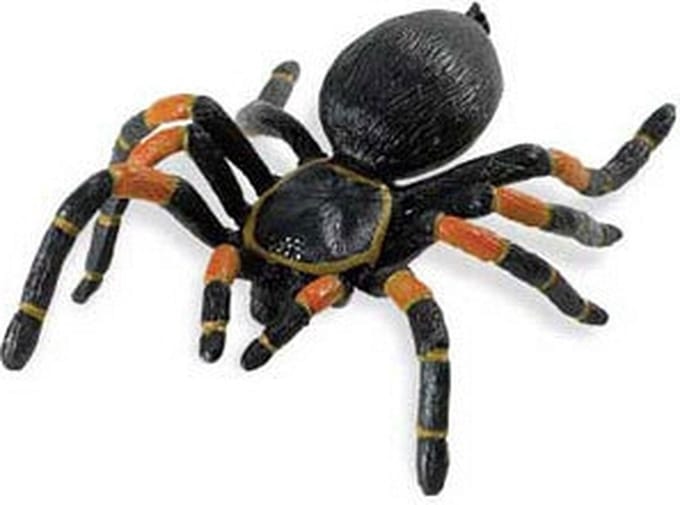 Plastic speelgoed figuur tarantula spin