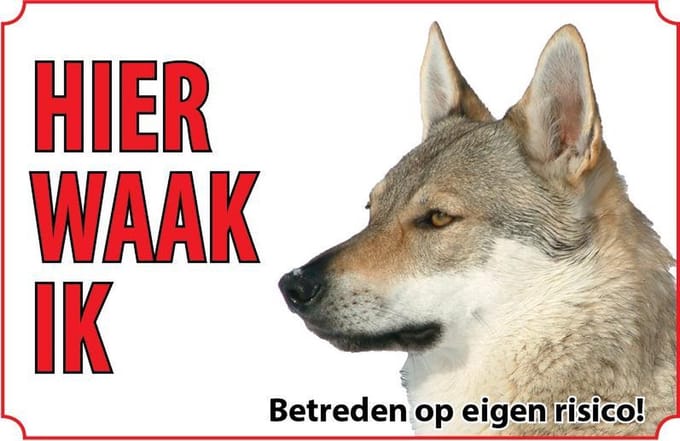 Bord - Hond-Tsjecho-Slowaakse-wolfhond