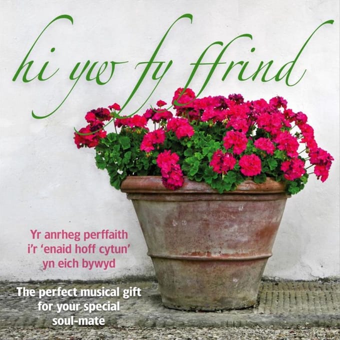 Various Artists - Hi Yw Fy Ffrind (CD)