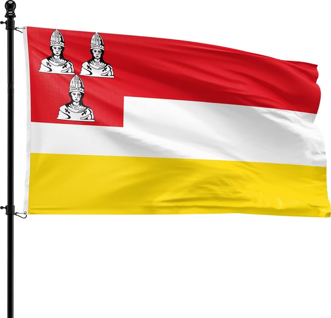 VlagDirect - Eemnes vlag - Gemeente Eemnes vlag - 90 x 150 cm.