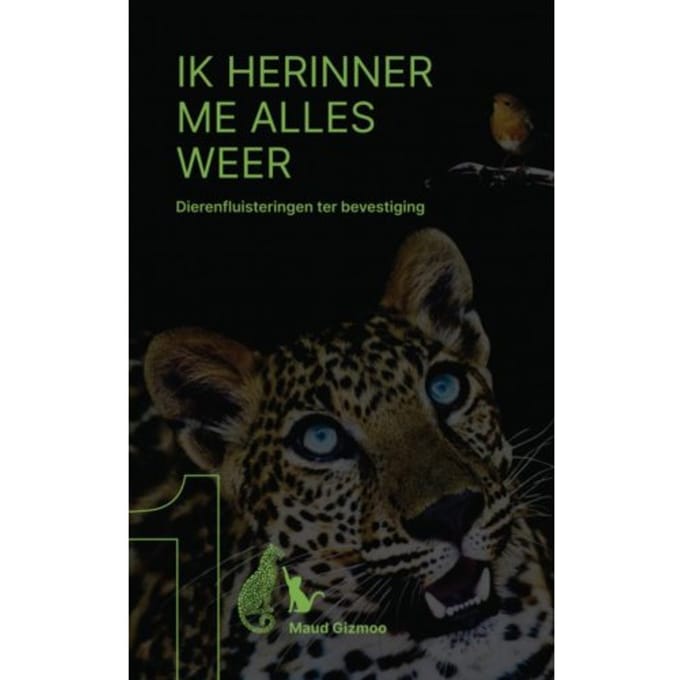 Ik Herinner Me Alles Weer - Maud Gizmoo