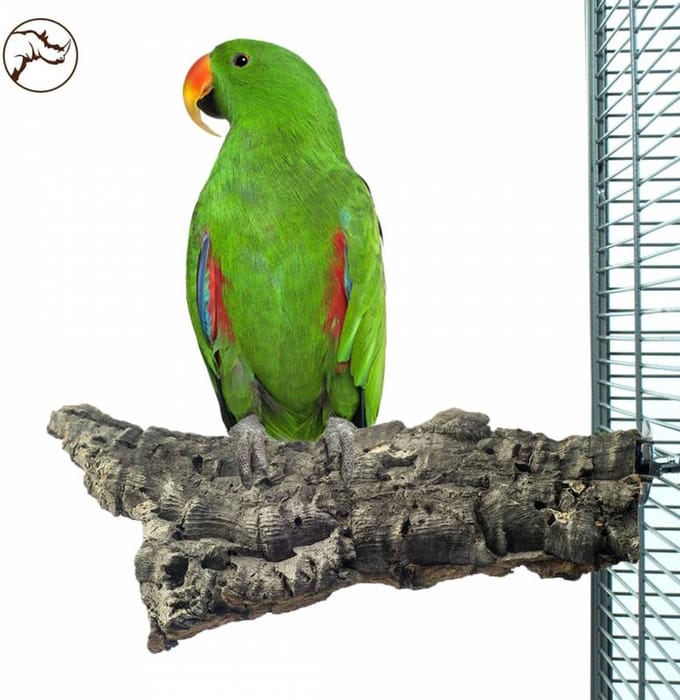 Back Zoo Nature Corky Chew - Vogelspeelgoed - 20x10 cm Large