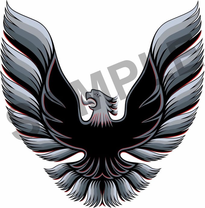 Pontiac Transam 1978-1981 Zijstickers Firebird replika zilver look