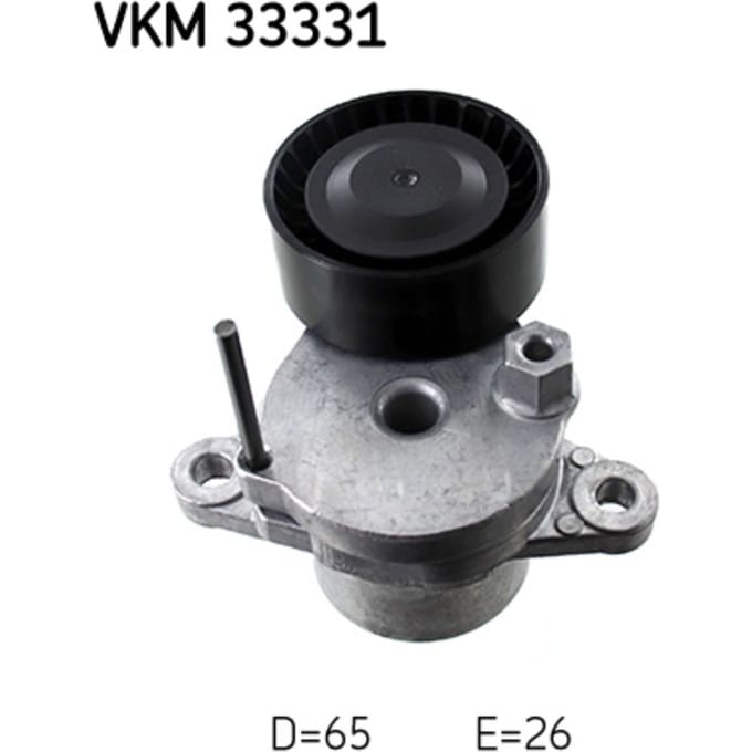 Riemspanner, Poly V-riem SKF VKM 33331