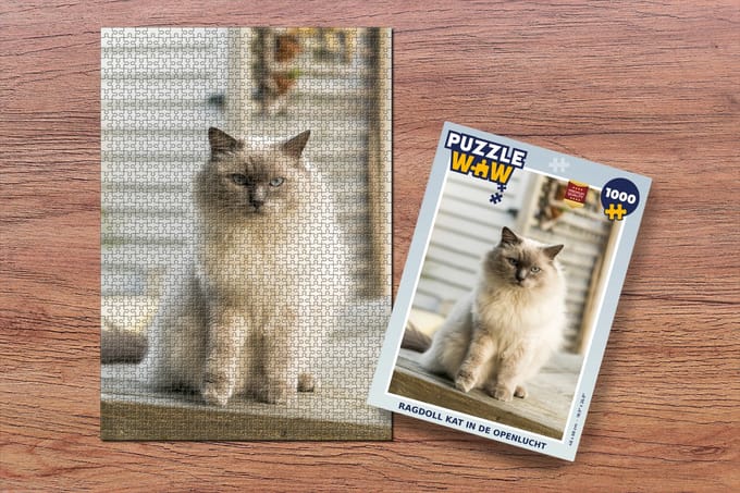 Puzzel Ragdoll kat in de openlucht - Legpuzzel - Puzzel 1000 stukjes volwassenen