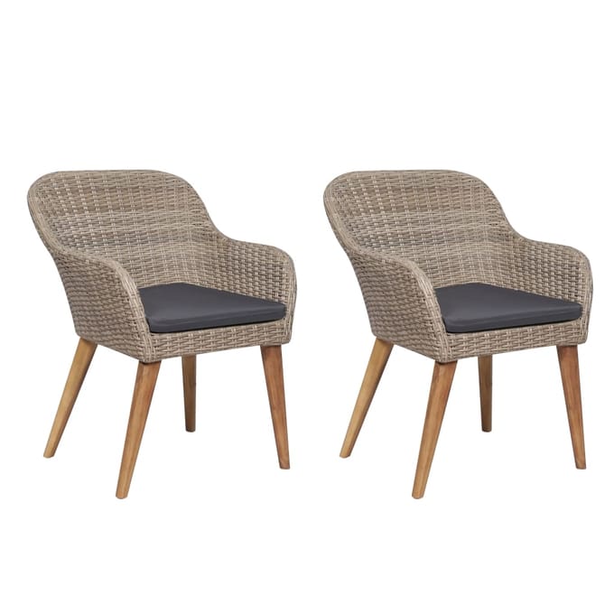 vidaXL - Tuinstoelen - 2 - st - met - kussens - poly - rattan - bruin