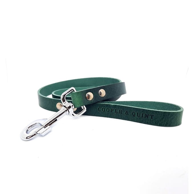 Cooper & Quint No Fuss Hondenriem - Groen - Breed - 105cm - Oud Messing