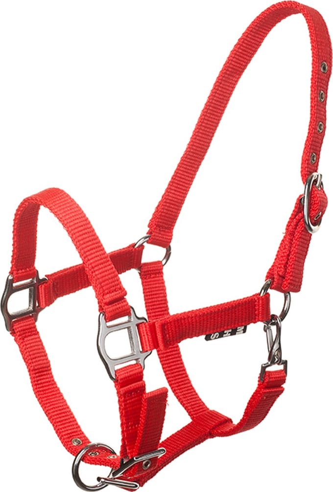 MHS Nylon Halter Economy red size 4