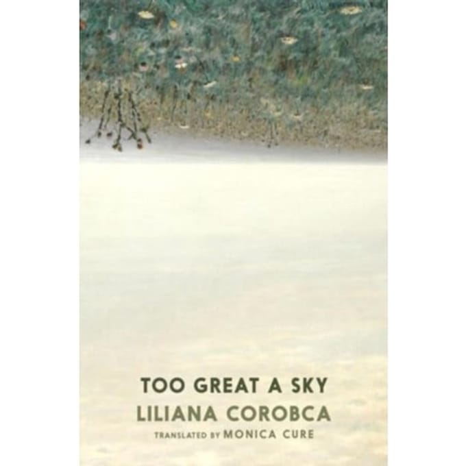 Te Grote Hemel door Liliana Corobca Paperback Boek 9781911710134