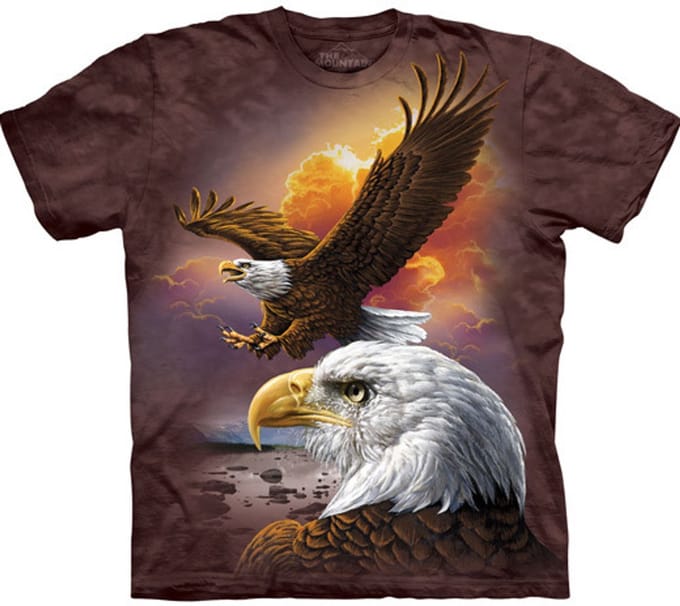 T-shirt Eagle & Clouds S