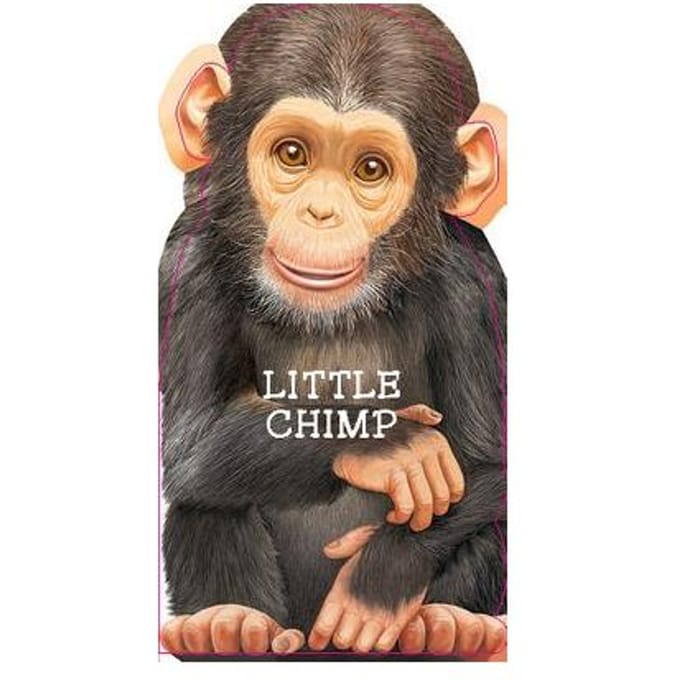 Little Chimp
