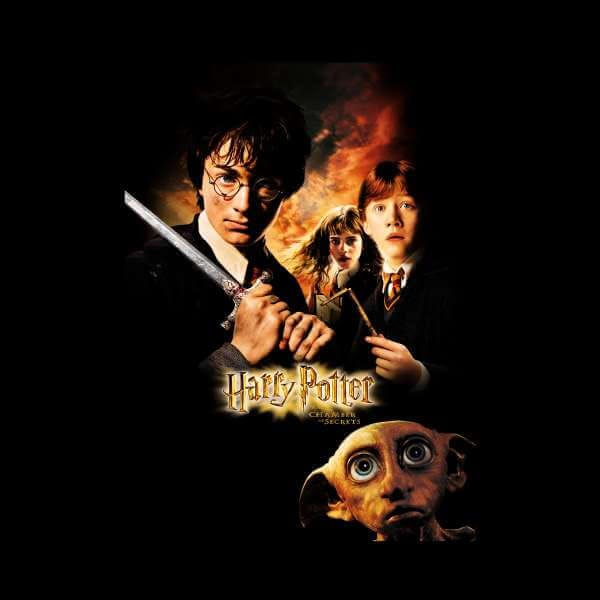Harry Potter Chamber Of Secrets Hoodie - Black - L