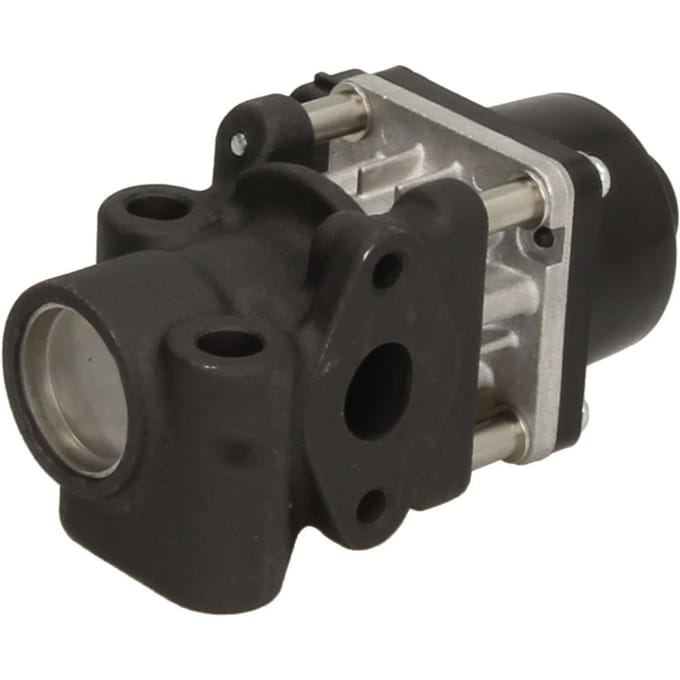 EGR-klep DELPHI EG10454-12B1
