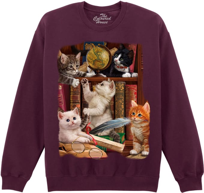 Kitttens In The Library The Coloured House Sweater S