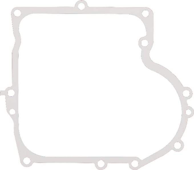 Briggs & stratton carterpakking .009"
