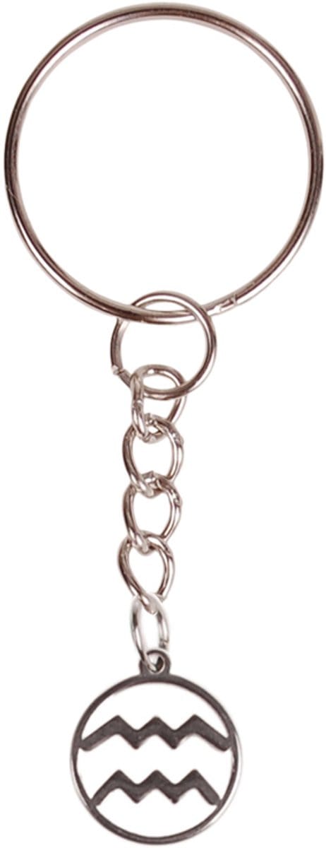 Sleutelhanger/Tashangertje - Zilverkleurige Sleutelring - hanger sterrenbeeld Waterman