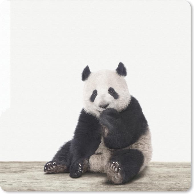 Muismat 20x20 cm - Mousepad Dieren - Panda - Zwart - Wit - Muismatten