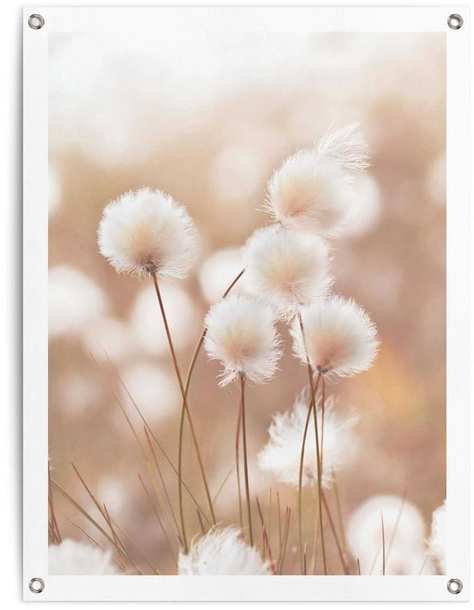 Tuinposter Katoentak - 80 x 60 - Canvas - REINDERS