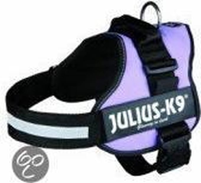 WERELD BEKENDE JULIUS K9 IDC POWERTUIG VOOR TEKSTLABELS PAARS MAAT 4