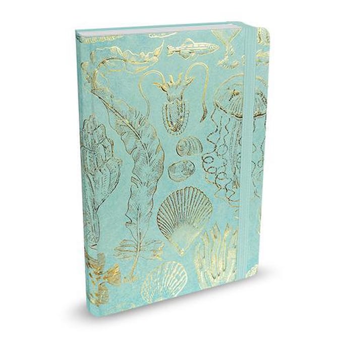 Peter Pauper Mid Size notitieboek - Sealife Sketches - met elastieksluiting - 16x21 cm
