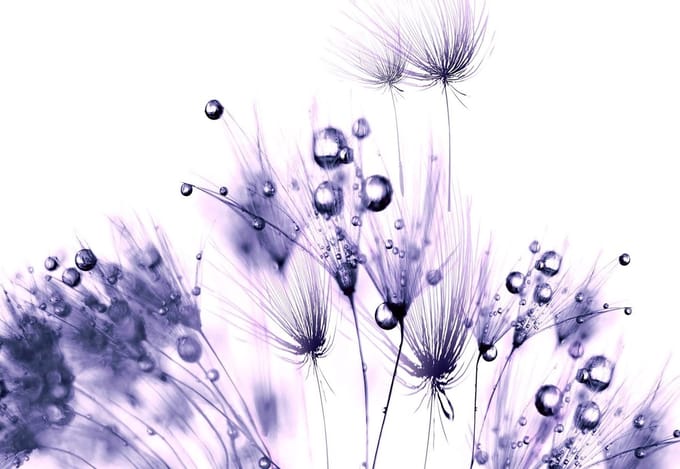 Fotobehang Floral Pattern | PANORAMIC - 250cm x 104cm | 130g/m2 Vlies