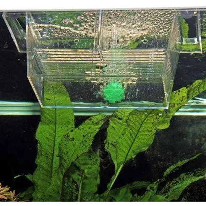 Toebehoren voor jbl proair aquarium