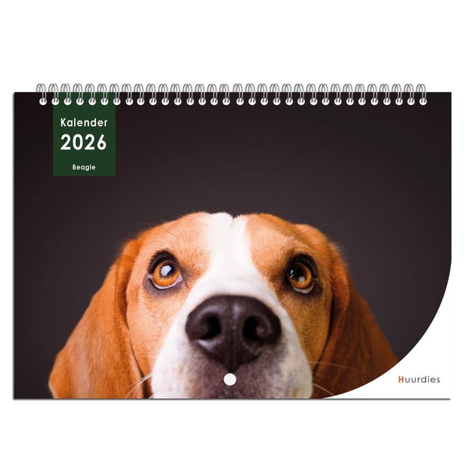 Huurdies - kalender 2026 - Beagle - A4