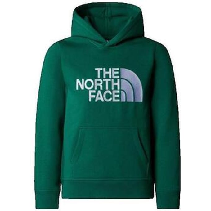 Trui The North Face Drew Peak P/O