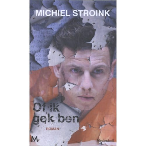 Of Ik Gek Ben - Michiel Stroink