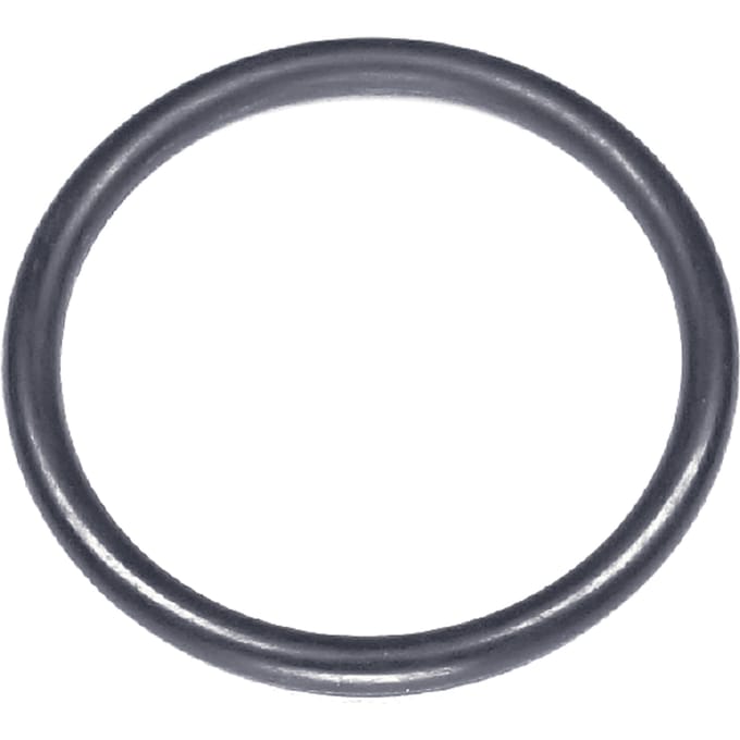 O-ring