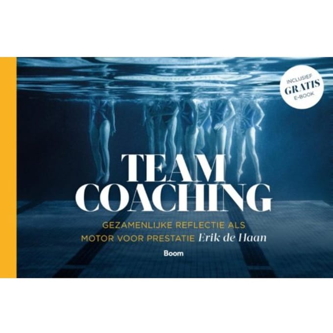 Teamcoaching - Erik de Haan