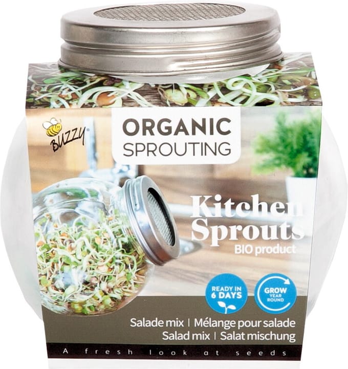 Buzzy Organic Sprouting Salademix