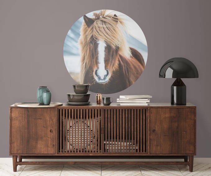 Behangcirkel 150cm Paard close-up