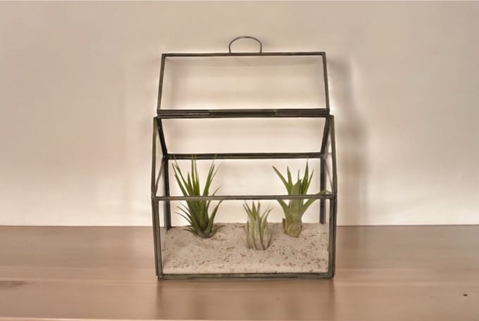 WinQ- Terrarium van glas met grijs metaal 17x11x15cm-plantenterrarium
