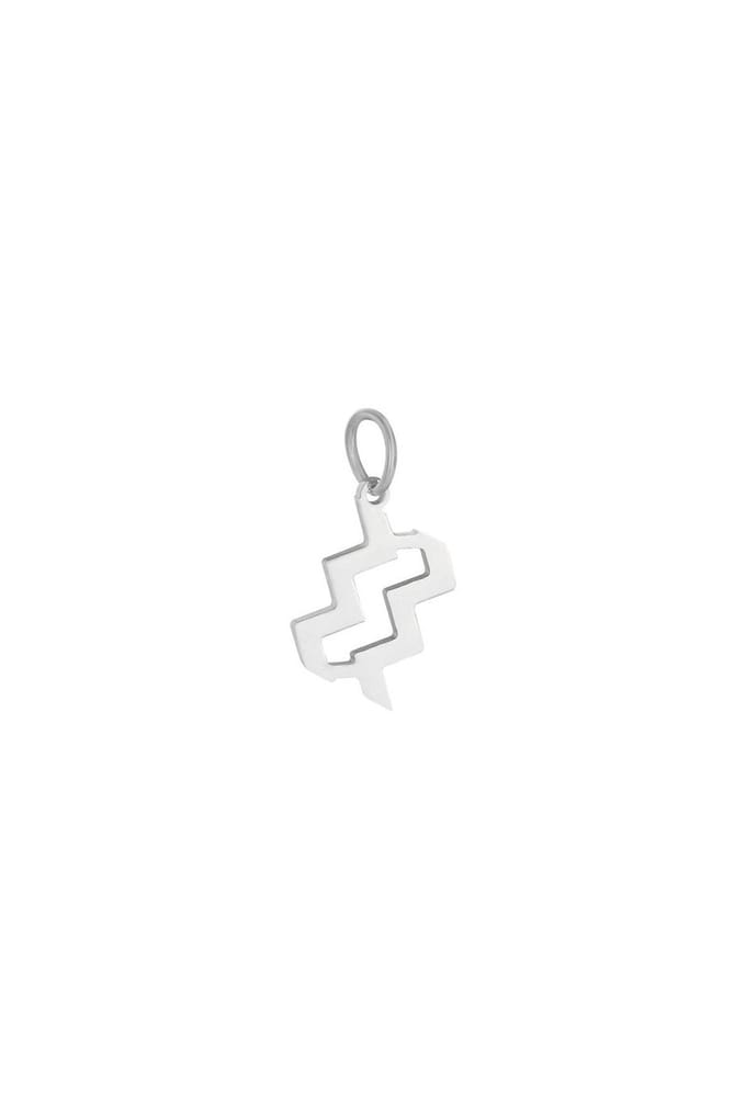 Hanger - chinees sterrenbeeld - zilver - stainless steel - kado - kerst