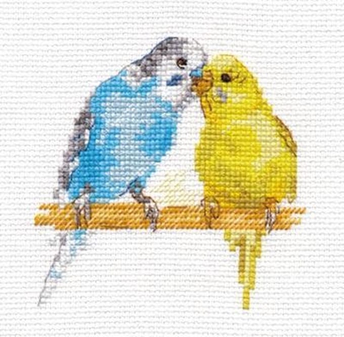 Parkietjes borduren (pakket)