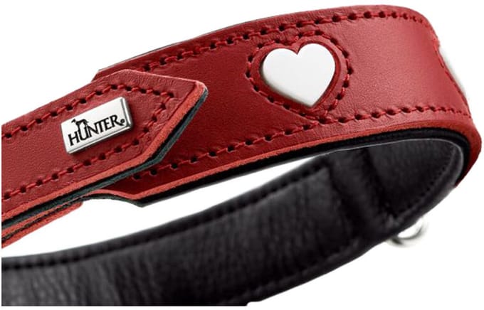 Hunter Collar Love - 65/L