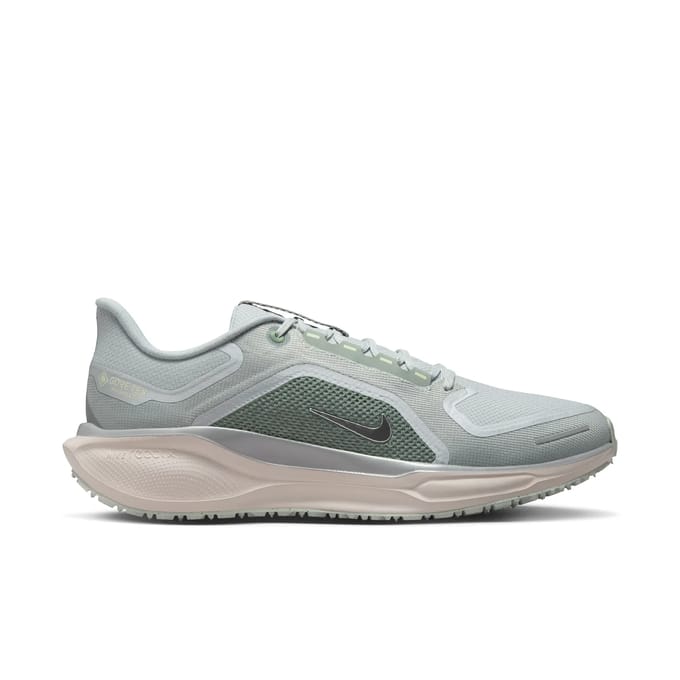 Hardloopschoenen Nike Pegasus 41 GORE-TEX
